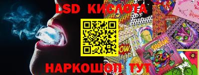 прущие грибы Будённовск
