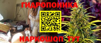 apvp Кандалакша