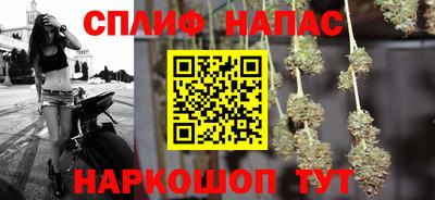 прущие грибы Будённовск