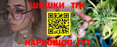 прущие грибы Будённовск